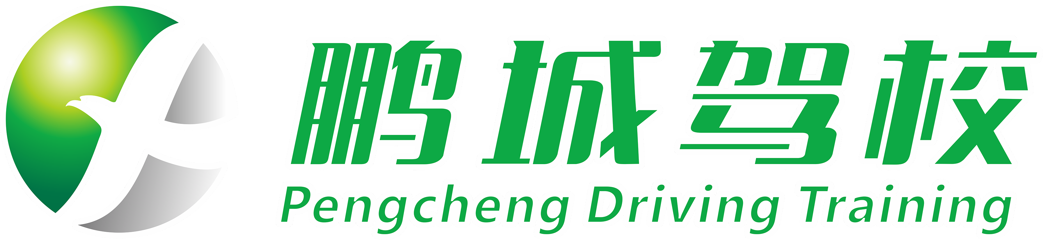 网站样板—驾校